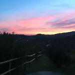아파트 Oltrealmare *