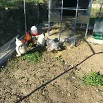 Oltrealmare Civezza