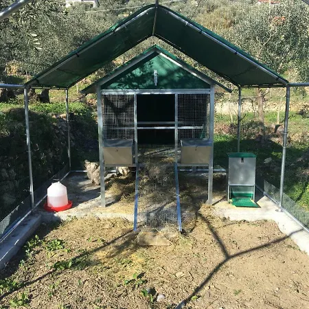 Oltrealmare Apartament *