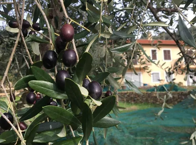 شقة Oltrealmare *